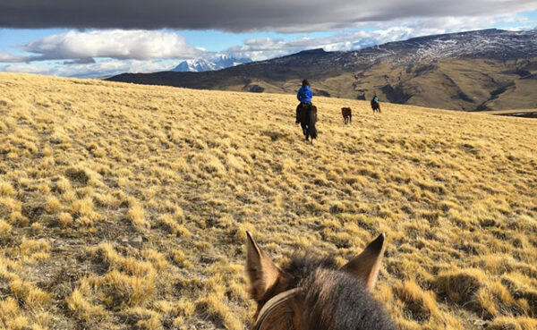 Horseback riding in the pampas of Sierra Baguales