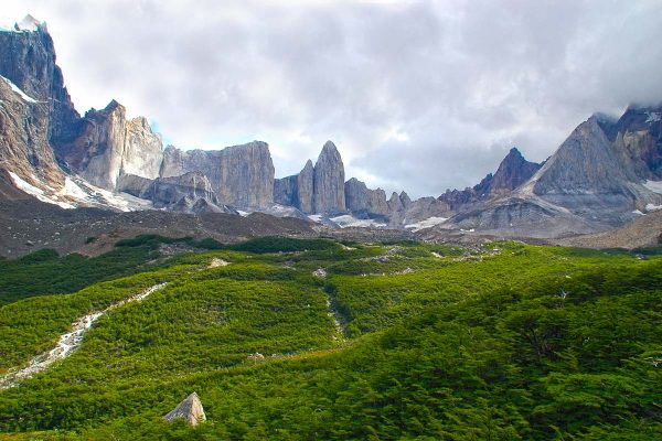 Forest and Mountains of Torres del Paine National Park