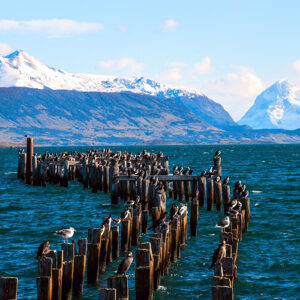 Vista del puerto en la costanera de Puerto Natales