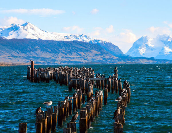 Vista del puerto en la costanera de Puerto Natales