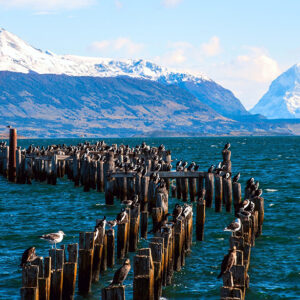 Vista del puerto en la costanera de Puerto Natales