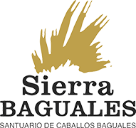 Logo Sierra Baguales