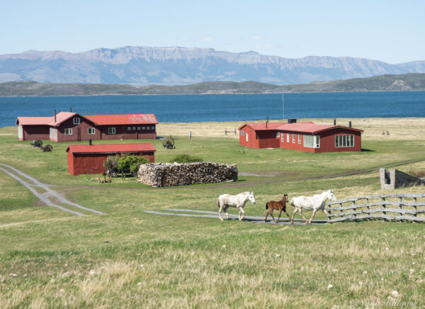 Estancia La Península