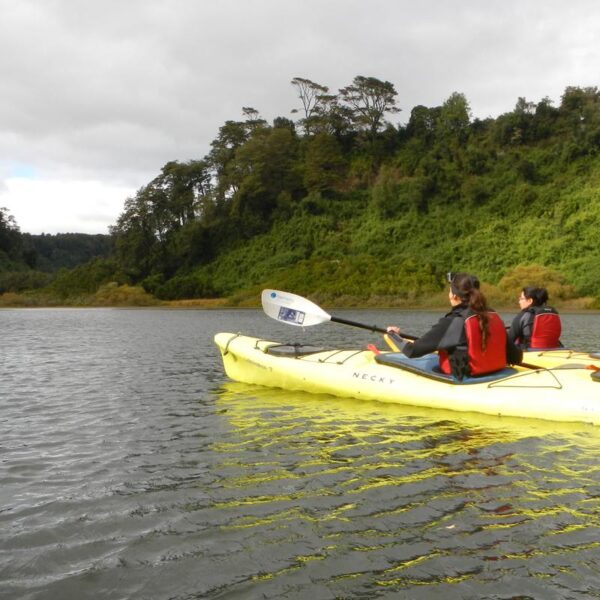 1/2 Día de Kayak en Laguna La Poza