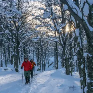 W Invernal Alternativa 6D 5N + Entrada Grey III (2026)