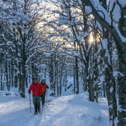 W Invernal Alternativa 6D 5N + Entrada Grey III (2026)