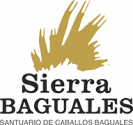 Logo Sierra Baguales