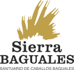Sierra Baguales Logo Sierra Baguales