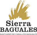 Logo Sierra Baguales